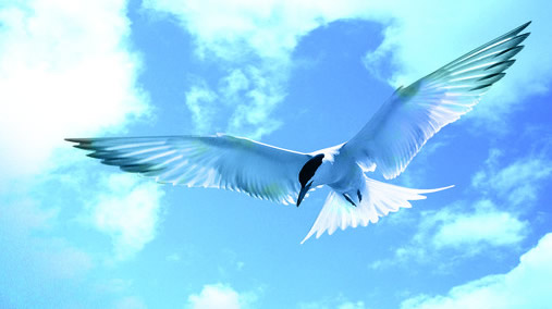 ����d�ʯ���O(sh��)�����޹�˾